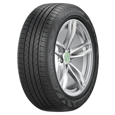 Fortune FSR-802 225 55 R16 95V