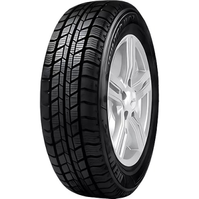 Delinte WD2 225 65 R16 112T