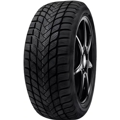 Delinte WD6 225 55 R16 99V