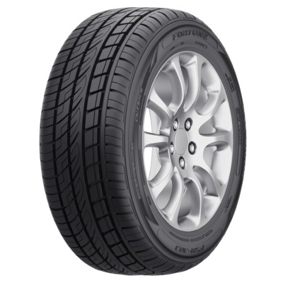Fortune FSR-303 255 40 R21 102Y
